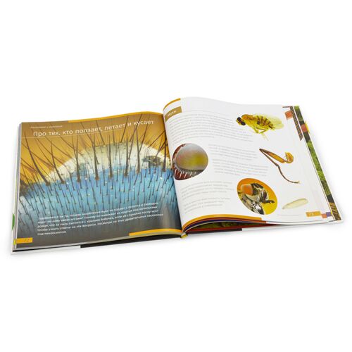 Книга знаний «Невидимый мир», фото , изображение 4