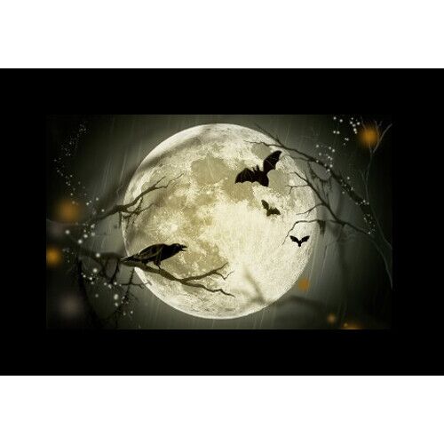 Набор слайдов Godox AK-S02, фото , изображение 2