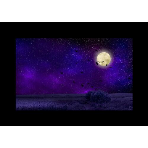 Набор слайдов Godox AK-S02, фото , изображение 7