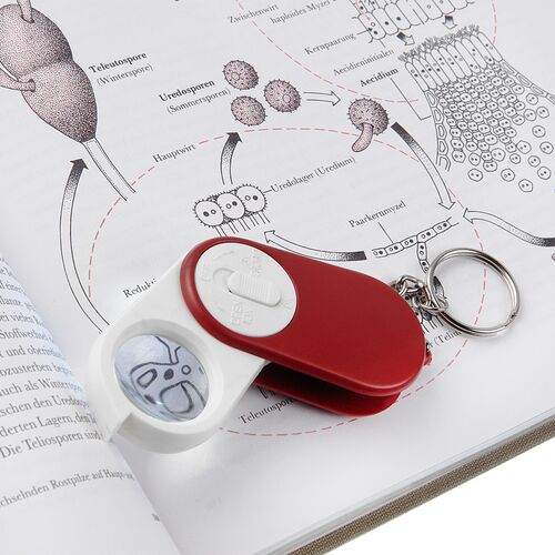 Лупа Veber 1062 (10х, 25мм, брелок), фото , изображение 3