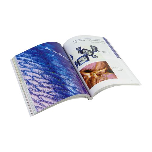 Главная книга юного биолога, фото , изображение 6