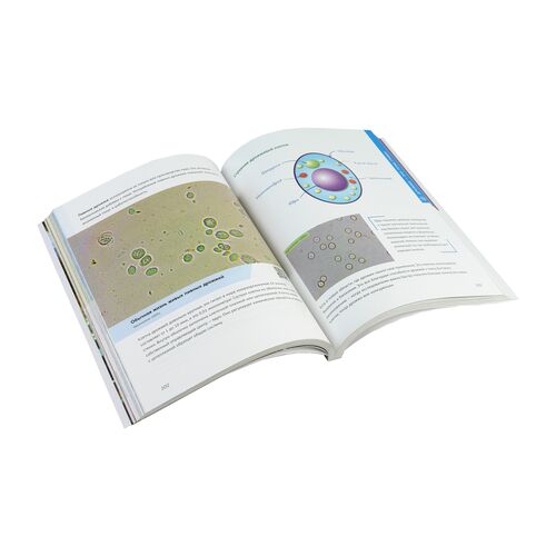 Главная книга юного биолога, фото , изображение 7