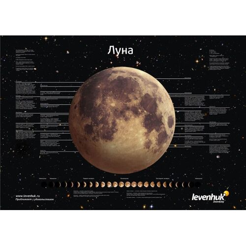 Постер Levenhuk «Луна», фото 