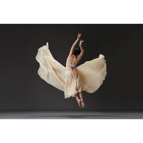 Вспышка аккумуляторная Godox Witstro AD600ProII, фото , изображение 10