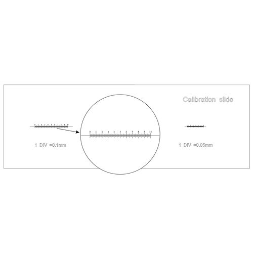 Слайд калибровочный MAGUS CS3 (0,01/0,05/0,1), фото , изображение 3