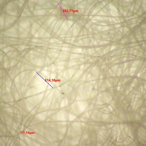 Микроскоп стереоскопический MAGUS Stereo 9T, фото , изображение 19