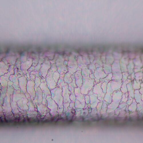 Микроскоп поляризационный MAGUS Pol 800, фото , изображение 18