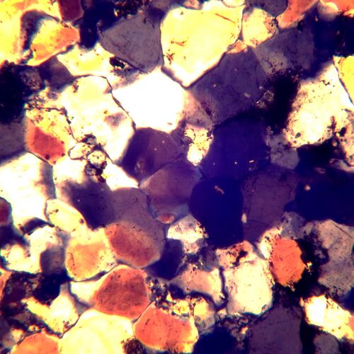 Микроскоп поляризационный MAGUS Pol 850, фото , изображение 21