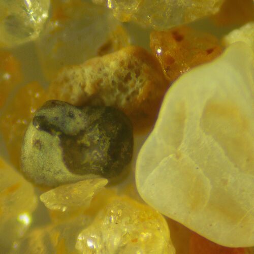 Микроскоп стереоскопический цифровой MAGUS Stereo D9T, фото , изображение 24