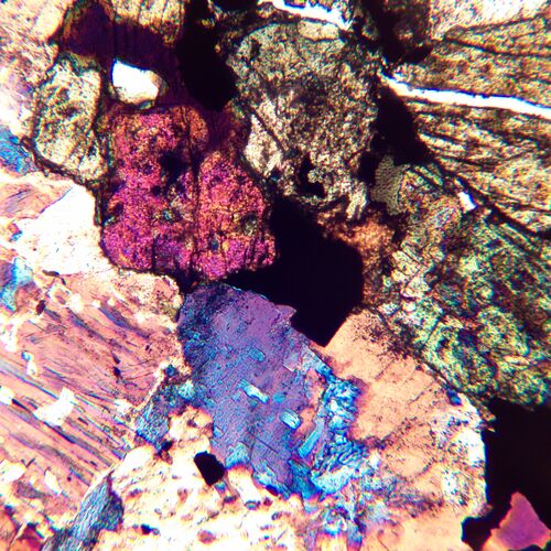 Микроскоп поляризационный цифровой MAGUS Pol D850 LCD, фото , изображение 25