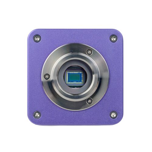 Микроскоп биологический цифровой MAGUS Bio D230T, фото , изображение 21