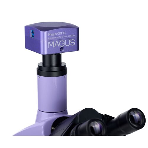 Микроскоп биологический цифровой MAGUS Bio D230T, фото , изображение 22