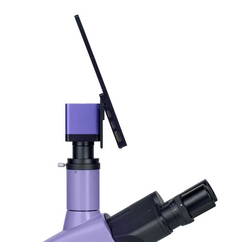 Микроскоп биологический цифровой MAGUS Bio D250T LCD, фото , изображение 24