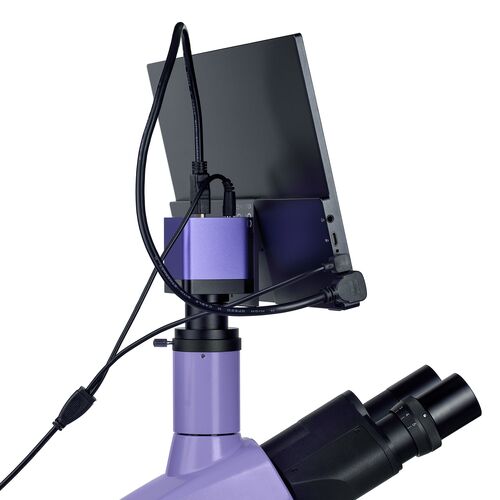 Микроскоп биологический цифровой MAGUS Bio D250T LCD, фото , изображение 25