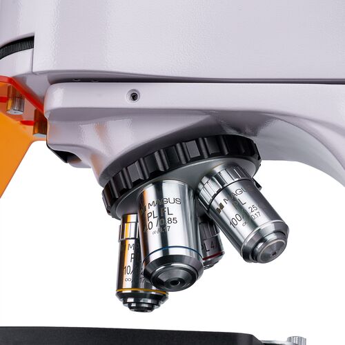 Микроскоп люминесцентный цифровой MAGUS Lum D400L, фото , изображение 12