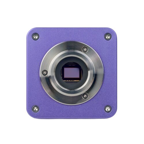 Микроскоп люминесцентный цифровой MAGUS Lum D400L, фото , изображение 19