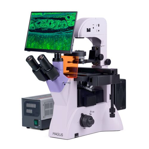 Микроскоп люминесцентный инвертированный цифровой MAGUS Lum VD500 LCD, фото , изображение 2