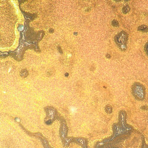 Микроскоп металлографический инвертированный MAGUS Metal V790 DIC, фото , изображение 20