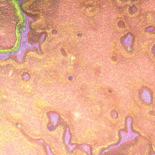 Микроскоп металлографический инвертированный MAGUS Metal V790 DIC, фото , изображение 21