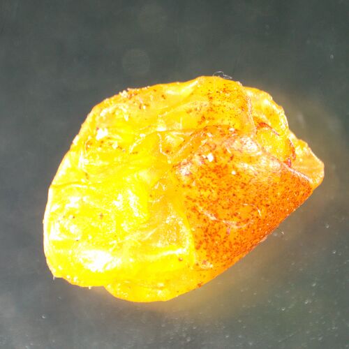 Микроскоп стереоскопический MAGUS Stereo A8, фото , изображение 14