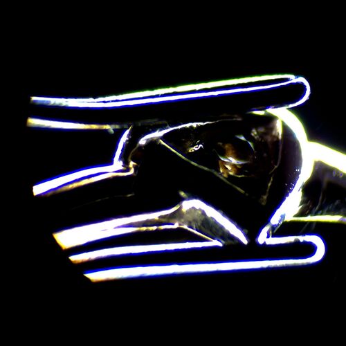 Микроскоп стереоскопический цифровой MAGUS Stereo D7T PLUS, фото , изображение 6