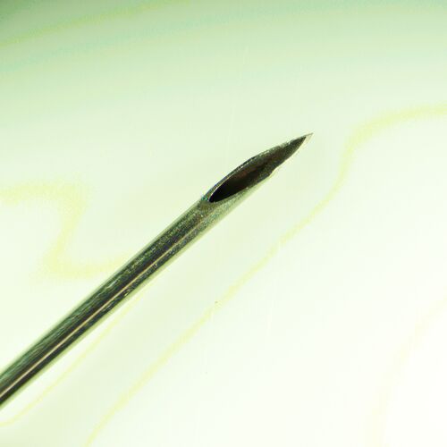 Микроскоп стереоскопический цифровой MAGUS Stereo D8T PLUS, фото , изображение 15