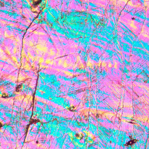 Микроскоп металлографический инвертированный MAGUS Metal V700 DIC, фото , изображение 15