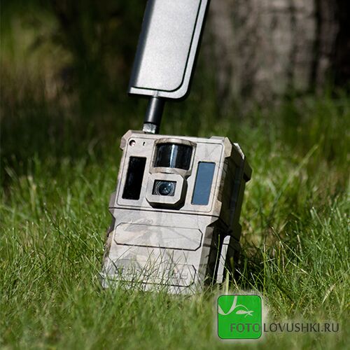 Фотоловушка SEELOCK S478W, фото , изображение 2