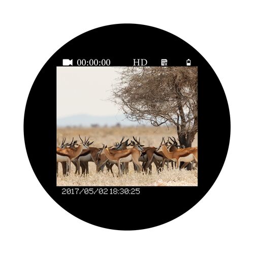 Бинокль ночного видения Veber DigiView NB-02 цифровой, фото , изображение 12