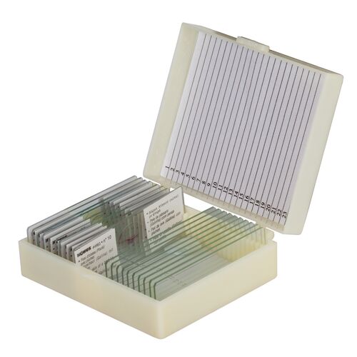 Набор микропрепаратов Konus 10: «Биология» (часть 1), фото 