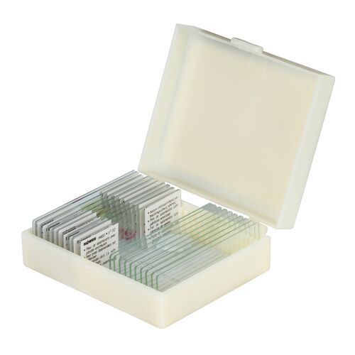 Набор микропрепаратов Konus 10: «Рыбы, лягушки и другие земноводные», фото 