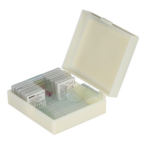 Набор микропрепаратов Konus 10: «Ящерицы, змеи и птицы», фото 