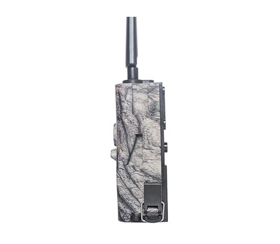 Фотоловушка BolyGuard BG584G-24mHD, фото , изображение 4