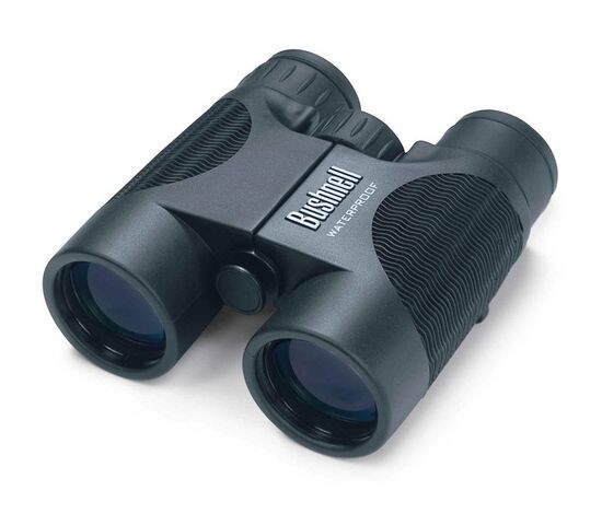 Бинокль Bushnell H2O Roof 10x42, фото 