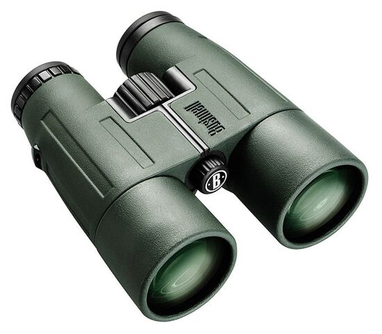 Бинокль Bushnell Trophy XLT 8x56, фото 