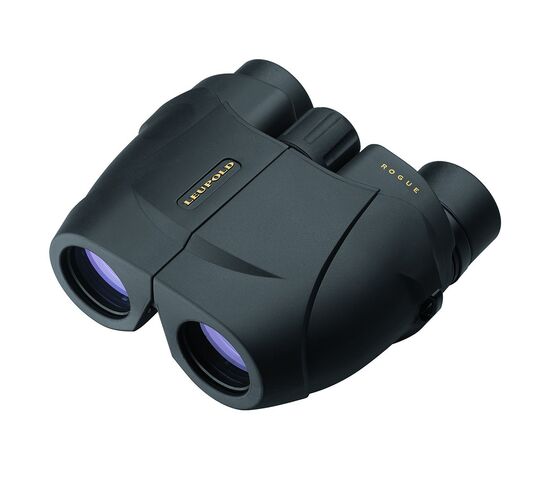 Бинокль Leupold BX-1 Rogue 10x25 Compact Porro, черный, фото 