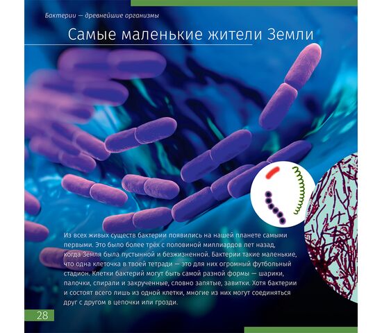 Книга знаний «Невидимый мир». Мягкая обложка, фото , изображение 5