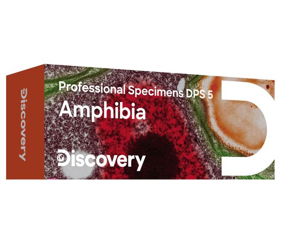 Набор микропрепаратов Discovery Prof DPS 5. «Амфибия», фото 