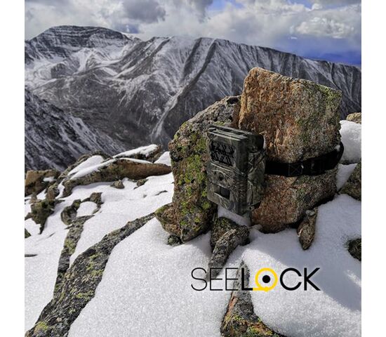 Фотоловушка Seelock S308, фото , изображение 4