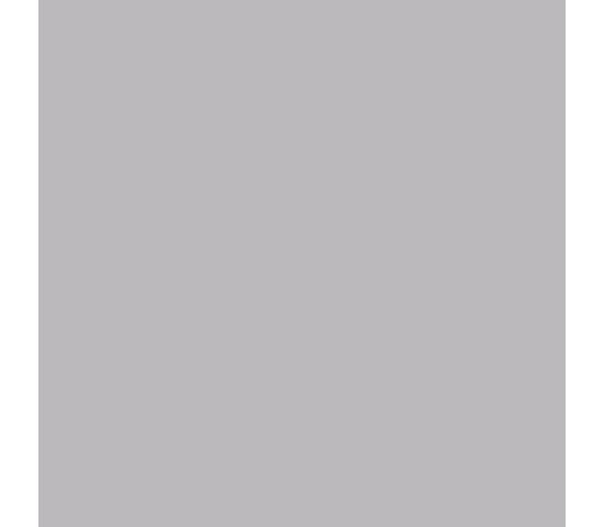 Фон бумажный Polaroid Light Grey Светло-серый 2,72*11 м, фото 