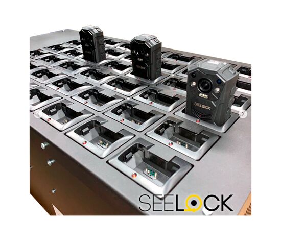 Терминал зарядки и архивации SEELOCK RS-42, фото , изображение 2