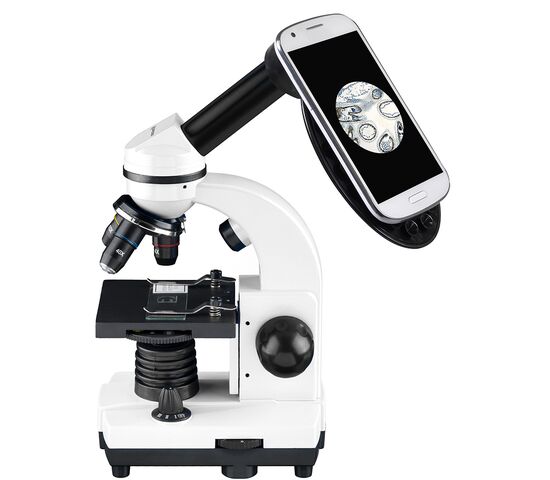Микроскоп Bresser Junior Biolux SEL 40–1600x, белый, в кейсе, фото , изображение 7