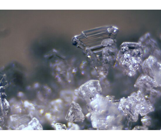 Микроскоп стереоскопический Bresser Erudit ICD 20x/40x, фото , изображение 13