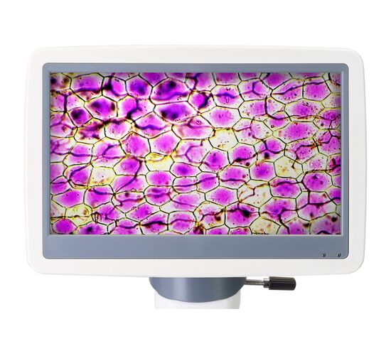 Микроскоп цифровой Levenhuk D85L LCD, монокулярный, фото , изображение 6