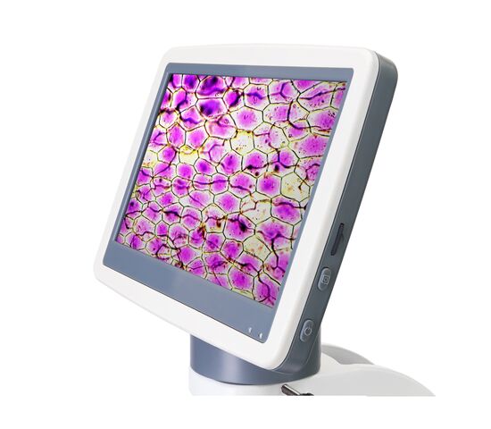 Микроскоп цифровой Levenhuk D85L LCD, монокулярный, фото , изображение 7