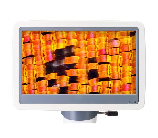 Микроскоп цифровой Levenhuk D95L LCD, монокулярный, фото , изображение 6