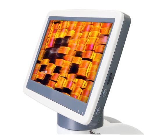 Микроскоп цифровой Levenhuk D95L LCD, монокулярный, фото , изображение 7