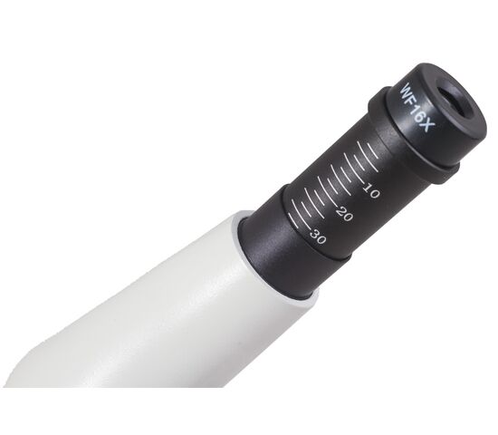 Микроскоп Levenhuk Rainbow D50L PLUS, 1,3 Мпикс, фото , изображение 7