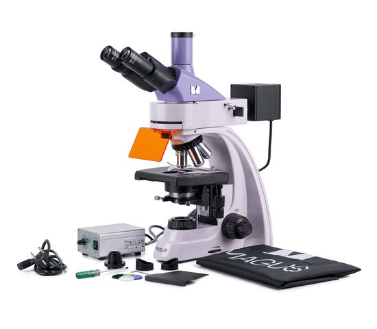 Микроскоп люминесцентный MAGUS Lum 400L, фото 