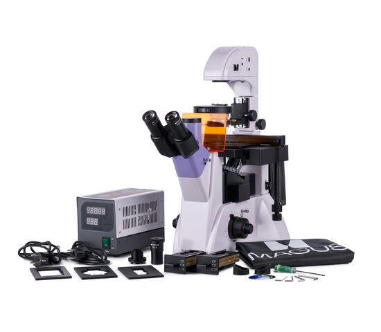 Микроскоп люминесцентный инвертированный MAGUS Lum V500, фото 